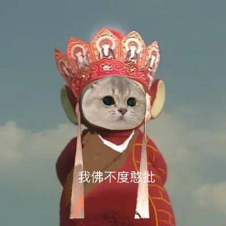 小猫咪版天线宝宝西游记表情包