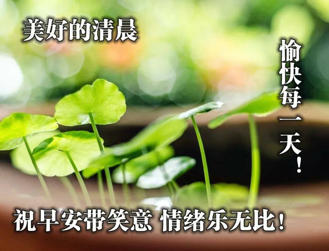 早安祝福精选词语愿你的生活春光灿烂幸福美好早上好世界