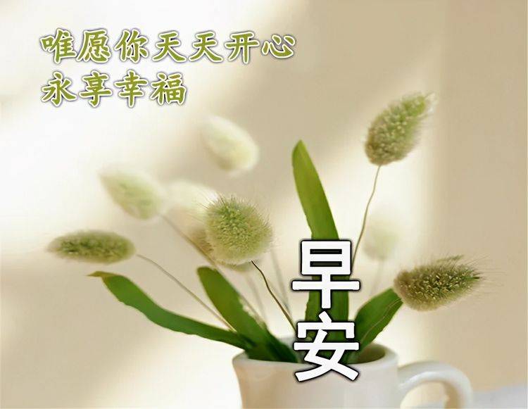 精选问候祝福,早上好祝福心语,早安祝福图片