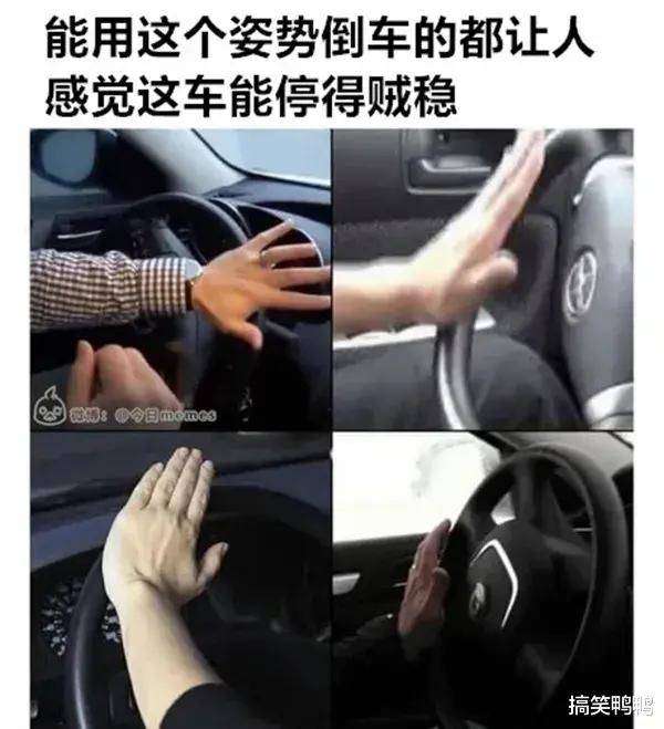 via:@今日memes 老司机专用开车手势