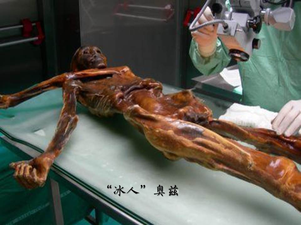 富贵 花艺设计 斗战胜佛 tatto娱乐新流派·2021-06-08纹身还是文身?