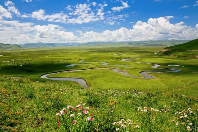 曼扎塘 在阿坝县东北部分布着一片广阔无垠的湿地草场—曼扎塘肪鞍