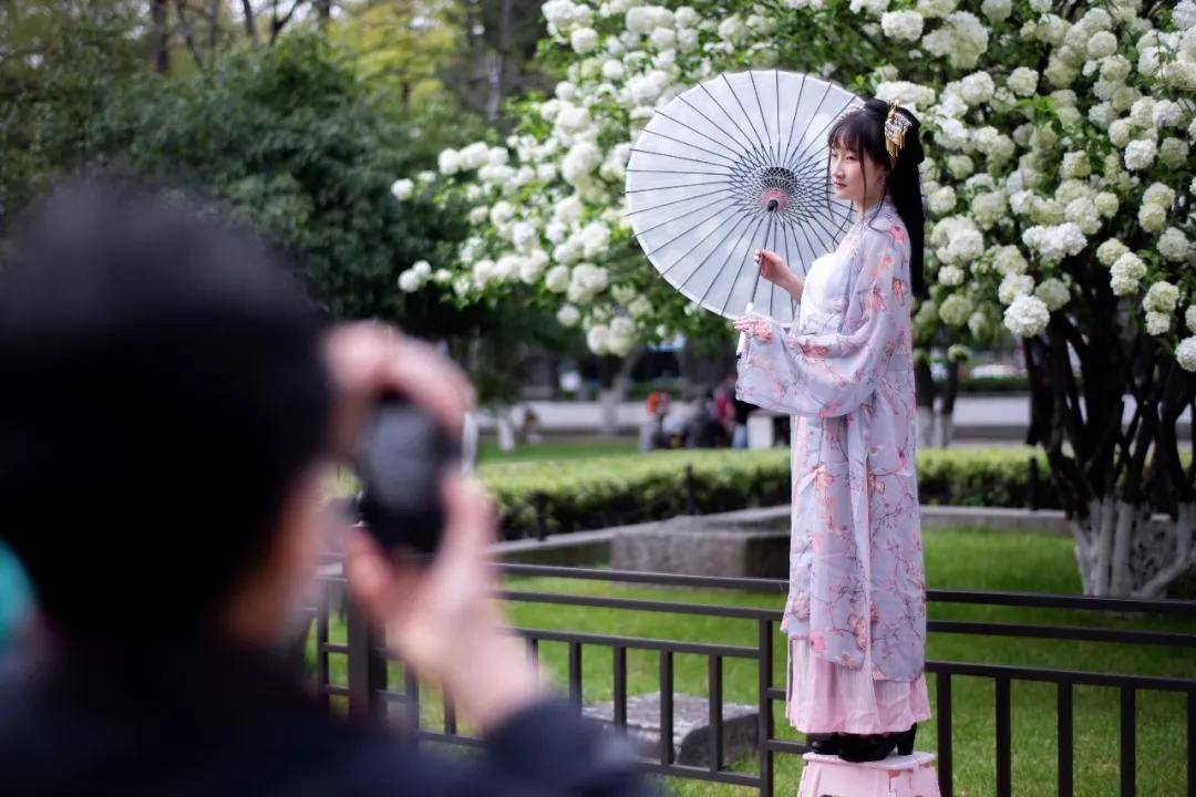 盘子女人坊的女性上瘾学