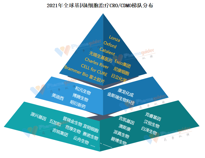 黄金赛道2021全球基因治疗crocdmo梯队排名