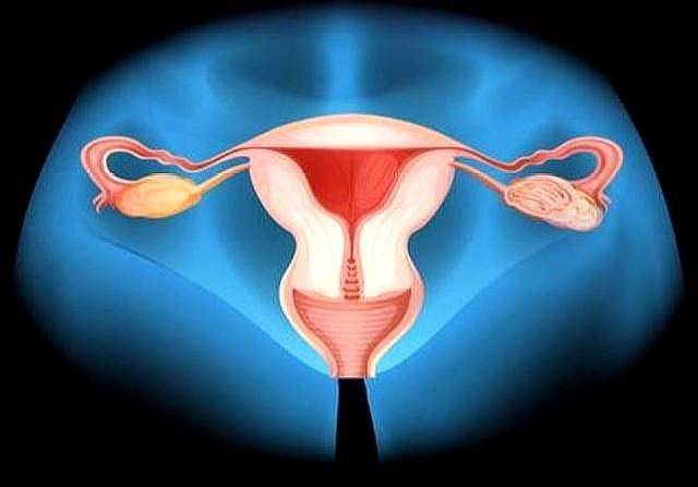 子宫是女性孕育新生命的摇篮,健康的子宫才能让胎儿好好生长发育