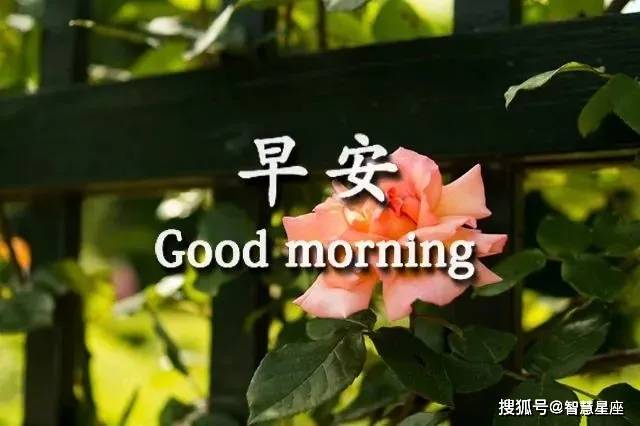 6月5日周六特别漂亮的早上好祝福美图 早安问候暖句子