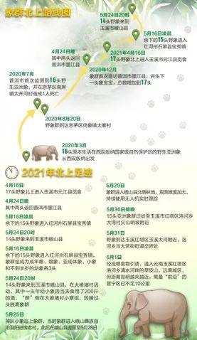 只把"大象出走"当笑话?这个考点错过要后悔!