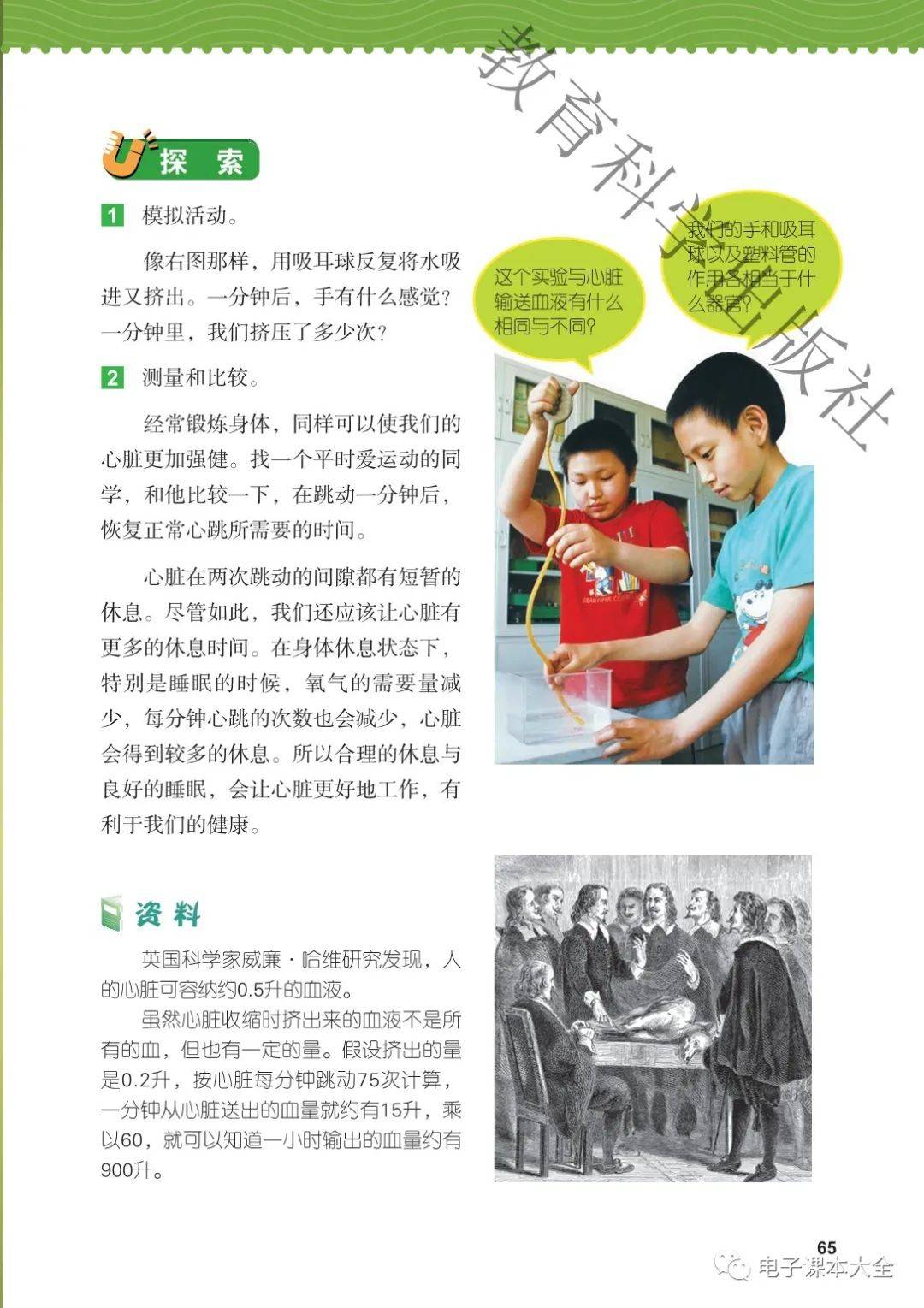 2021新改版教科版科学五年级上册电子课本教材(高清版