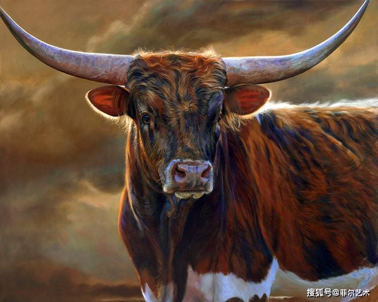 美国画家teresaelliott牛油画作品欣赏