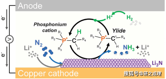 电化学合成氨最新science!
