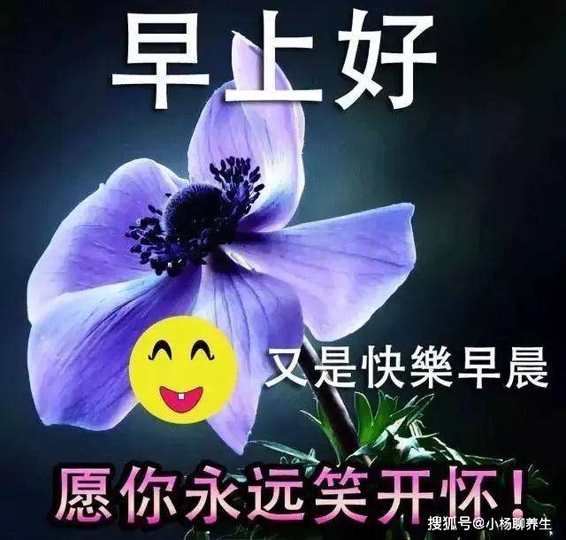 周末早上好阳光暖心语录带祝福图片祝早晨快乐