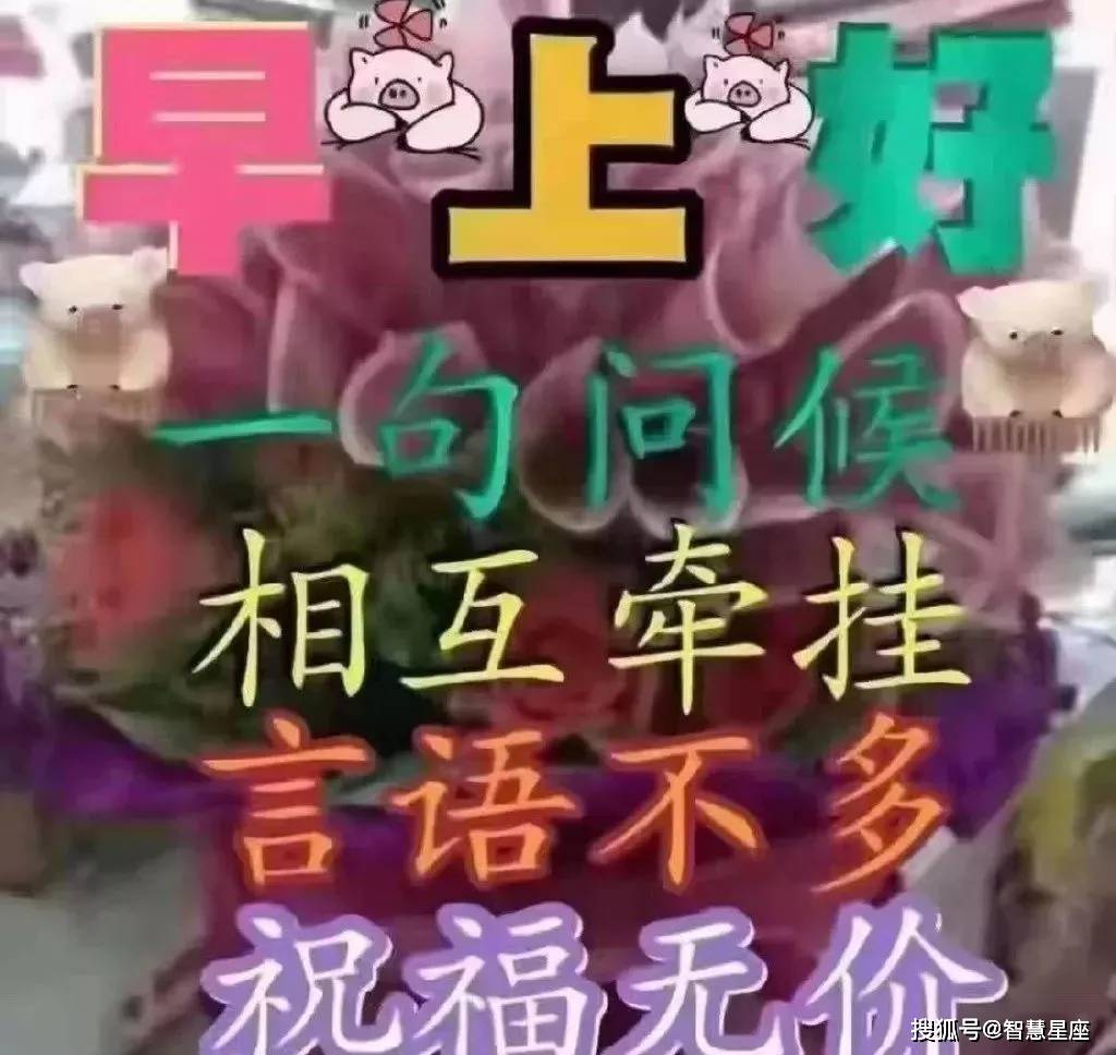 原创6月23日夏季清晨群发朋友圈的早上好图片动态 温馨早上好鲜花动态