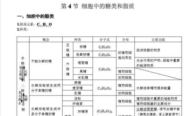 高中生物:基础知识点笔记,列提纲梳理,方便好记