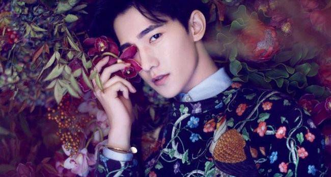 最帅男明星排行榜2019,新晋90后男演员名单 2019年中国最帅男星排行榜!娱乐圈十大当红男星