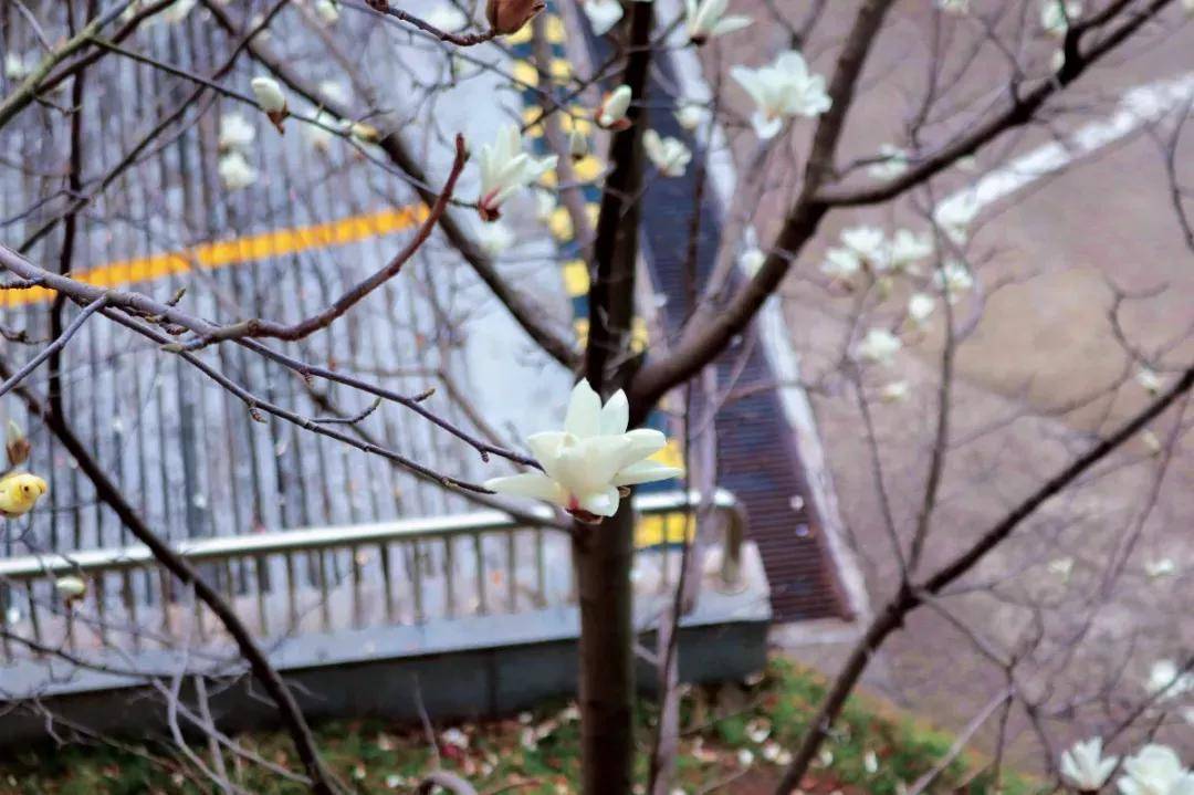 江苏省高校盐城师范学院