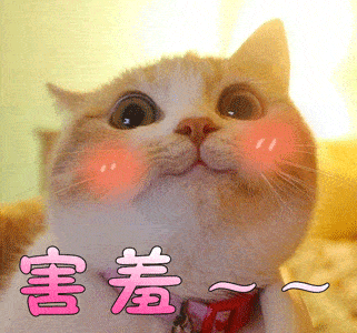 猫咪妄图伤害人类,秘密研制比鲱鱼罐头更恐怖的生化武器!
