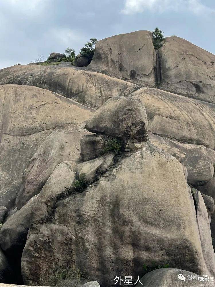 原创大罗山田螺背欣赏奇石之旅