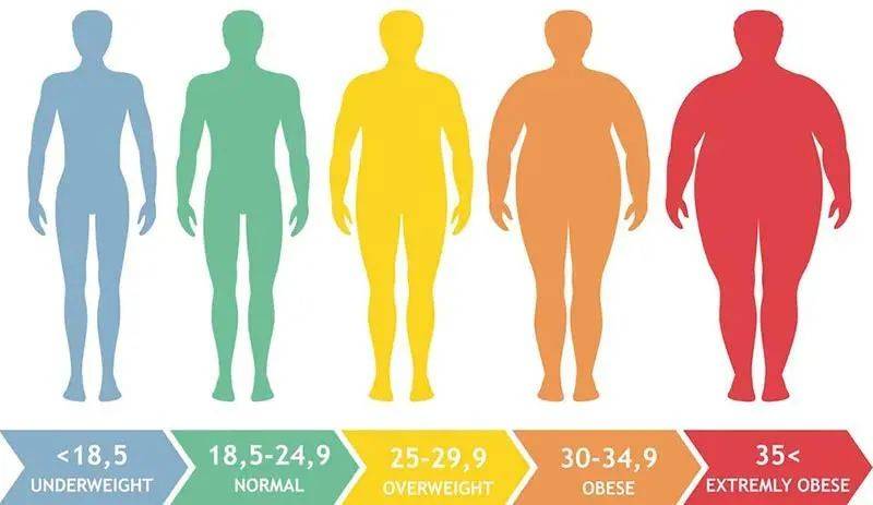 那么,肥胖会对你的身体产生什么影响呢?