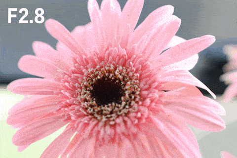 8大光圈,100mm长焦焦段的镜头,因此它本身就具有很强的虚化表现能力