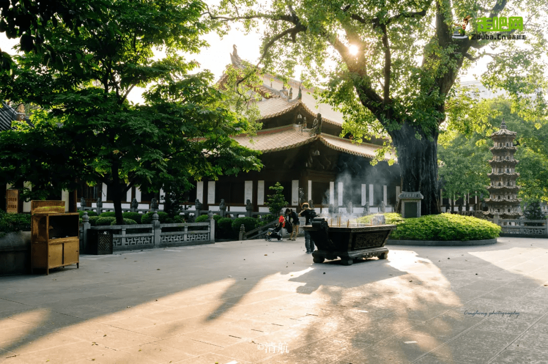 光孝寺大殿,菩提树,瘗发塔