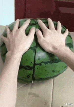 铲屎官恶搞,用西瓜皮给金毛做了件衣服,狗狗一秒变乌龟,笑死!