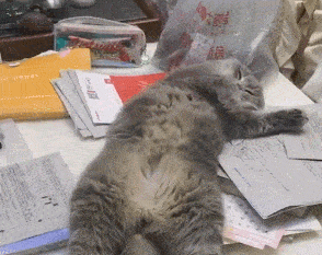 原创6只小橘猫排排坐烤火炉,场面一度萌到失控,网友:心都化了!