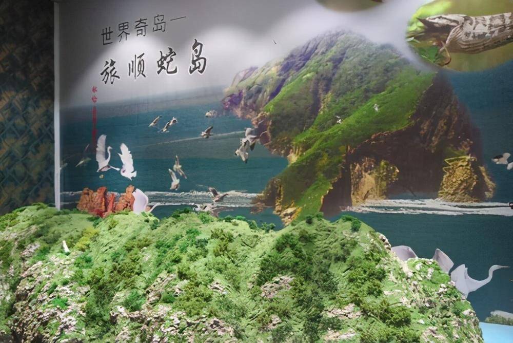1平方公里藏有近2万条毒蛇,大连蛇岛的蛇为何越来越凶?