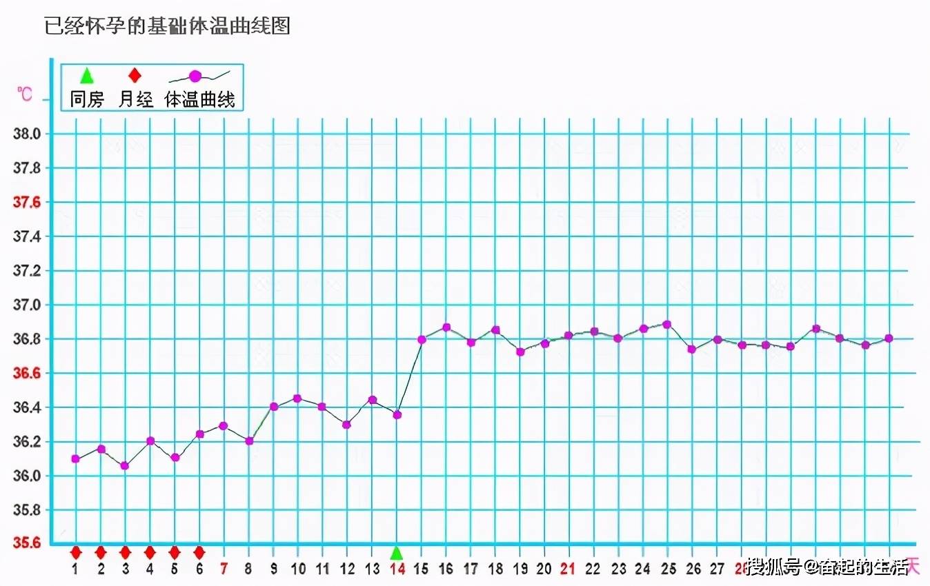 在排卵前基础体温偏低,排卵后基础体温会上升0.3-0.