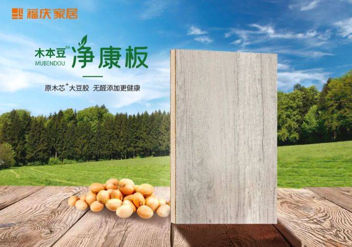 经国家权威检测机构检验,木本豆净康板甲醛释放