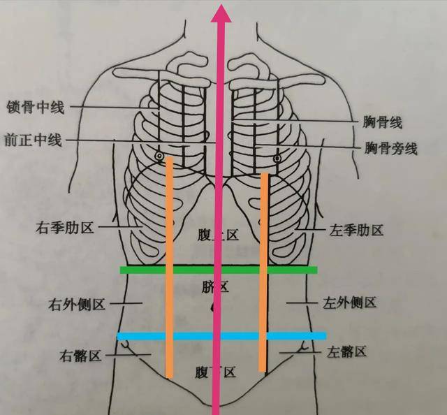 先来看两条横线怎么定位的: 第一条, 大家现在可以摸一摸自己左右