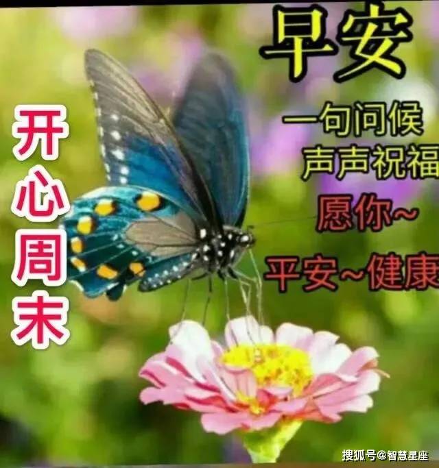 7月11日周日最新漂亮早上好问候动态图带字