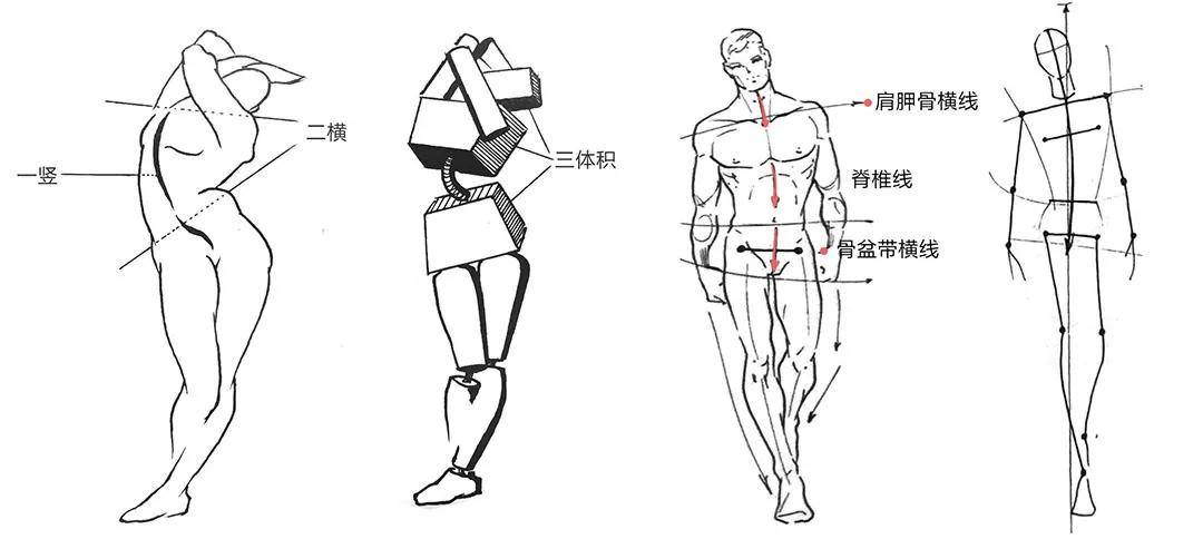 同年美术 | 这些速写人体观察方法,你都了解吗?