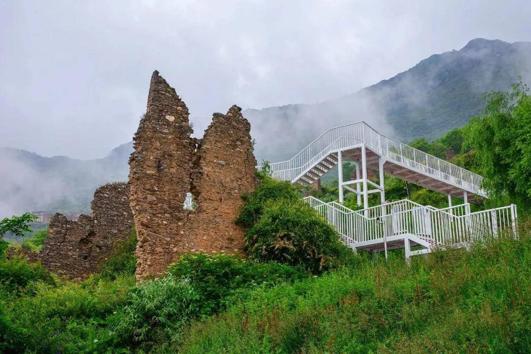 7月6日拍的四川阿坝州理县西山村浮云牧场.杨健/摄