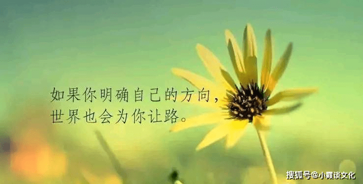 有深度的人生哲理短句,精辟走心,句句耐人寻味