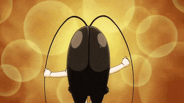 没有头也能存活数周的蟑螂,喜欢钻进耳朵定居,你中招了吗?