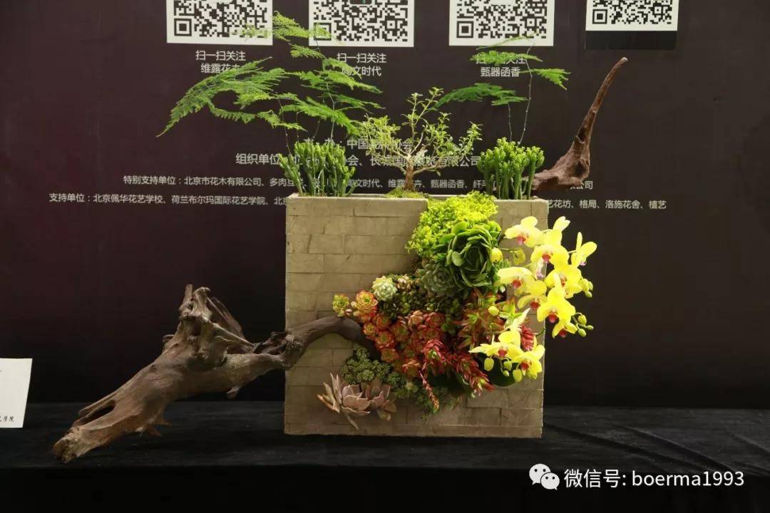 花店业绩增长点|组合盆栽设计_植物