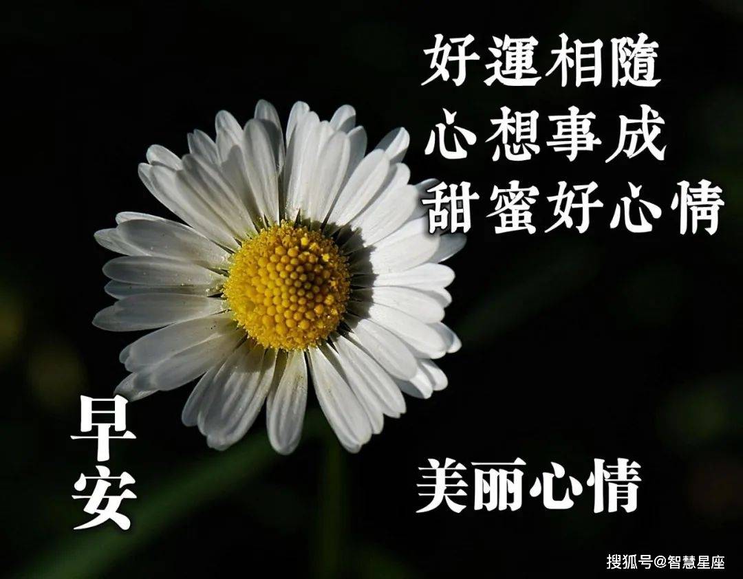7月18日新的一天早上好微信最甜蜜的问候祝福语清晨阳光早安问候图片