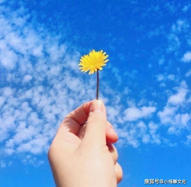 阳光明媚的早安短句,干净唯美,朋友圈必备!