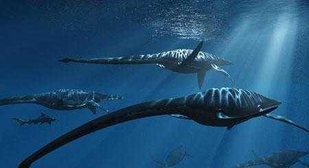 原创在白垩纪末期, 它们逐渐失去了海洋霸主的地位 被迫来到海底