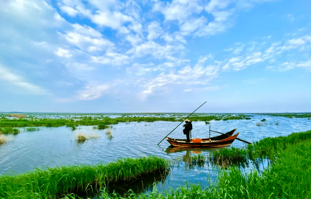 no.4  南大港湿地