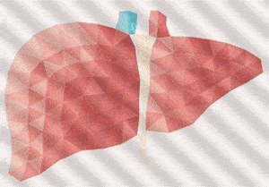 三,饮用黄芪水需注意以下事项 1,孕妇不宜饮用 女性在怀孕后特别