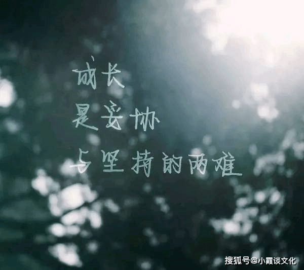 微信最心酸的一句话,我不会再喜欢你了,自作多情挺累的