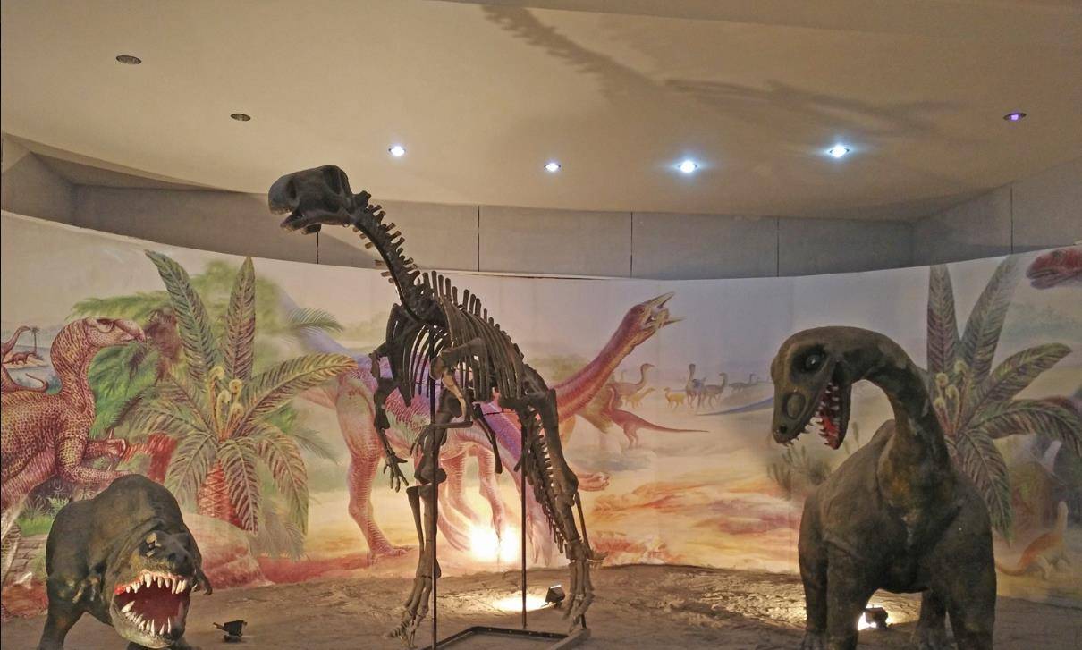 原创刚果发现最后活一只活着的恐龙目击恐龙事件