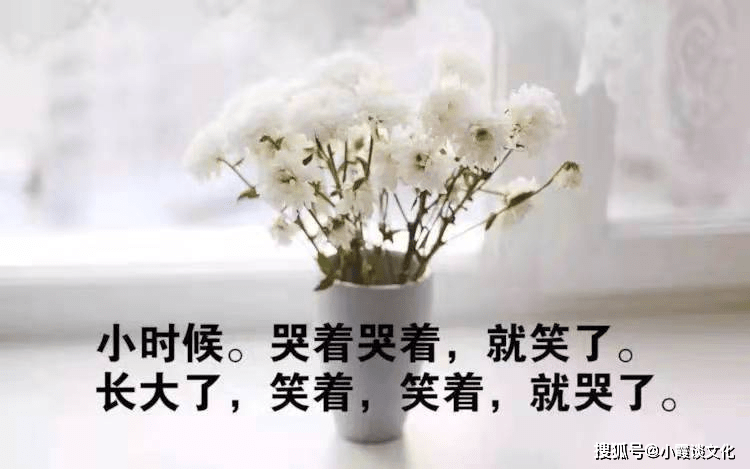 很现实很经典的人生感悟,句句真理,让人看破人生百态