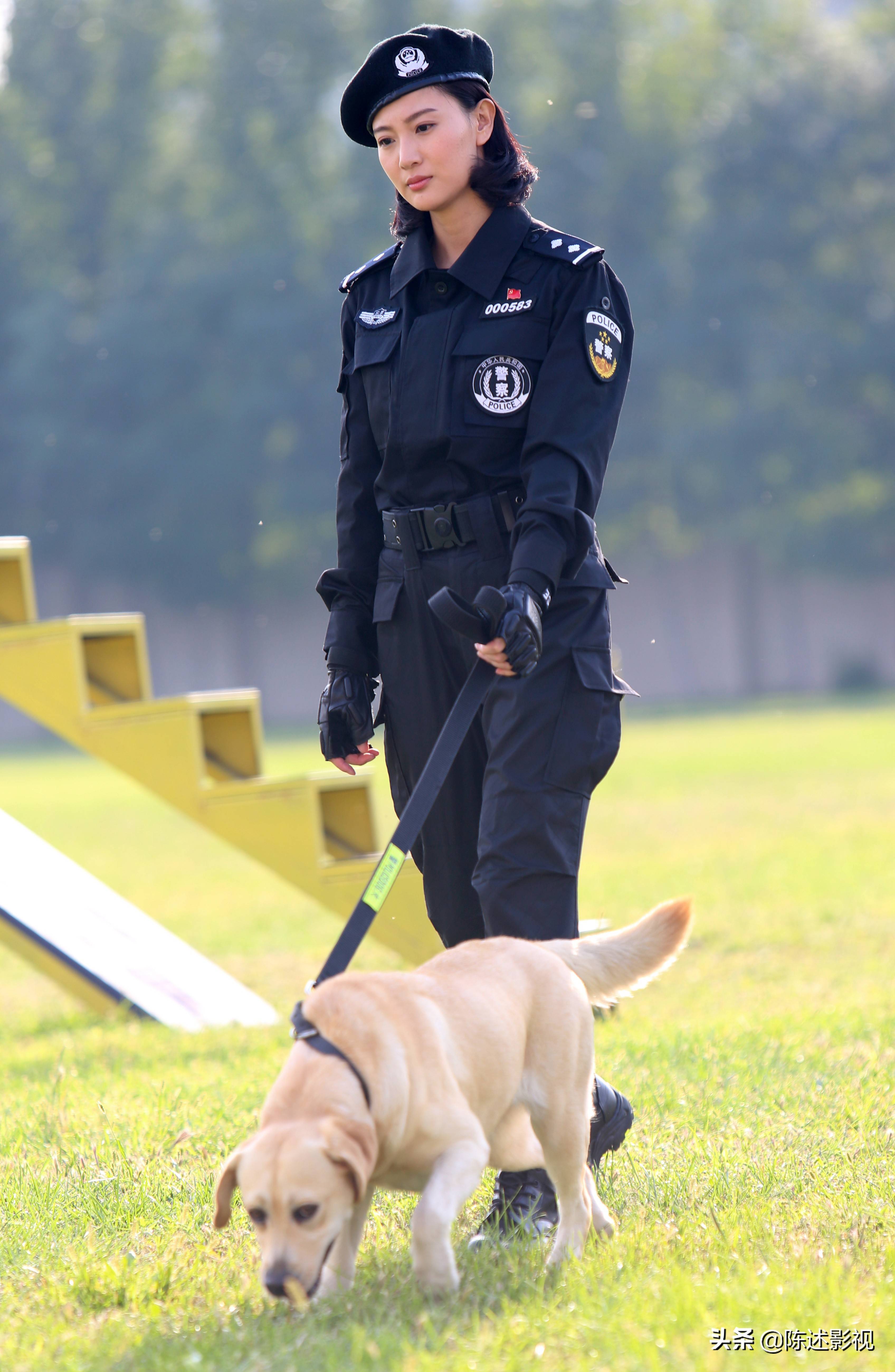 的凌云,《特种兵之火凤凰》的李晓芸,《警花与警犬》的李姝寒,《与狼