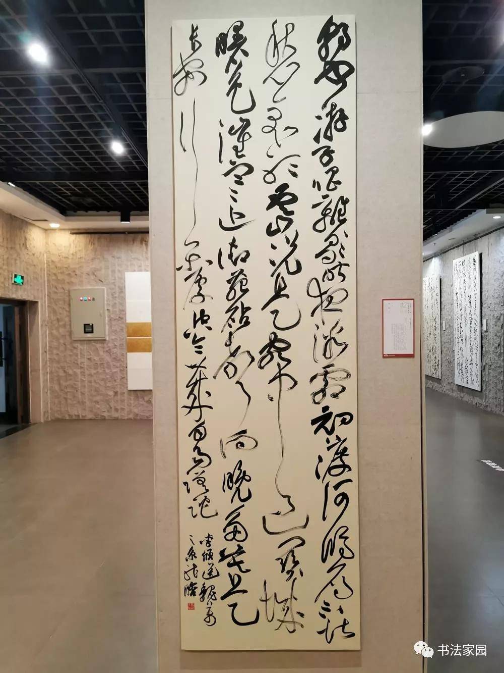 经典收藏十二届国展草书高清作品