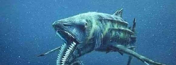 锤头鲨外形奇特,看看它的奇葩祖先,长相用"怪物"形容不为过