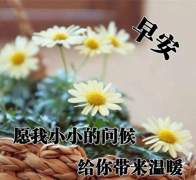 原创7张特别漂亮的免打字夏日早安问候语图片好看的清晨早上好祝福语