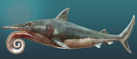 原创牙齿像是电锯一样能够达到15米世界上最怪异的鲨鱼