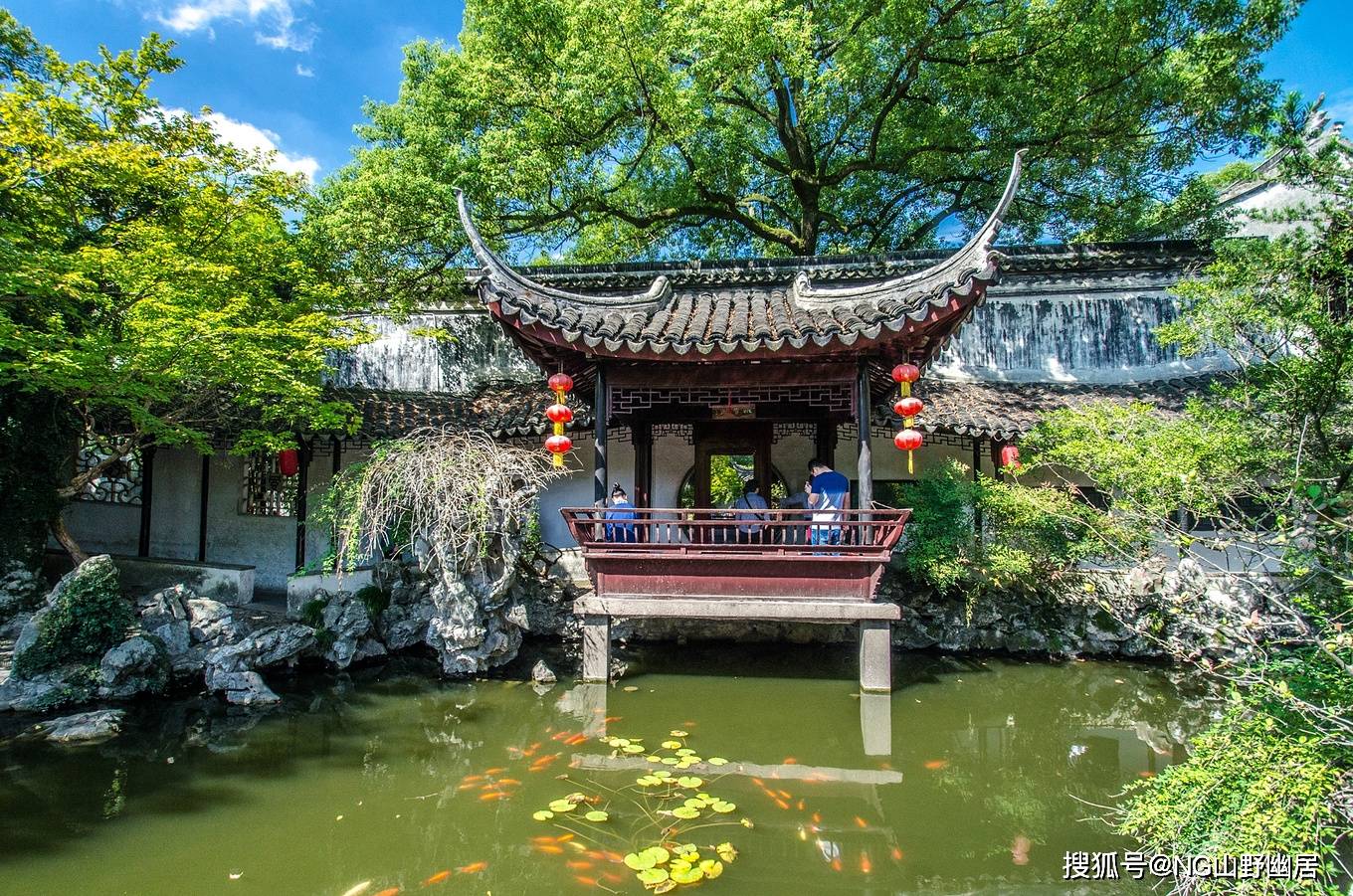苏州退思园:水世界造出的江南园林,美得如此清新诗意!